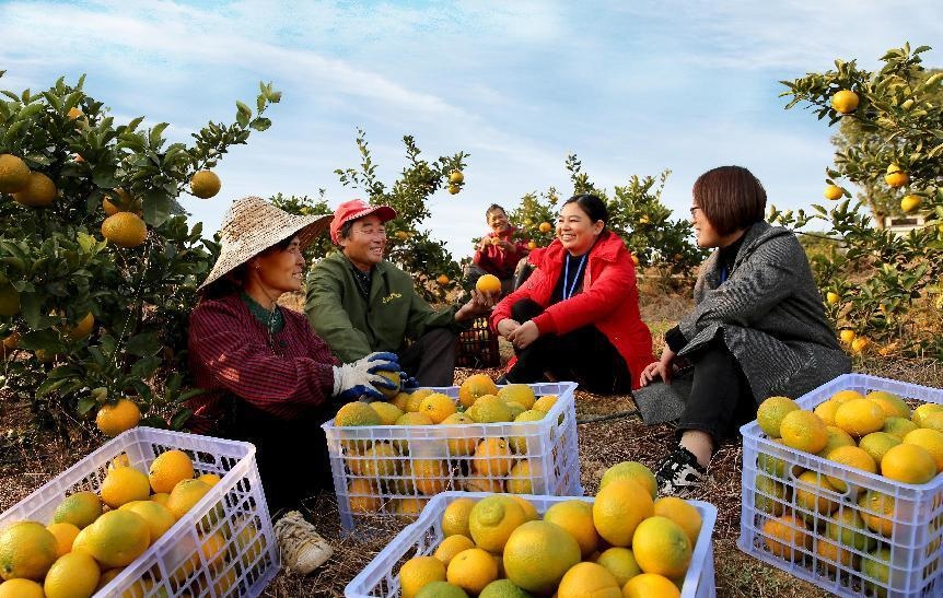 Officials with the discipline inspection and supervisory offices in Xiangdong district, Pingxiang, east China’s Jiangxi province solicit opinions from villagers in Jingxing village, Dec. 19, 2021. (Photo by Deng Jianping/People’s Daily)