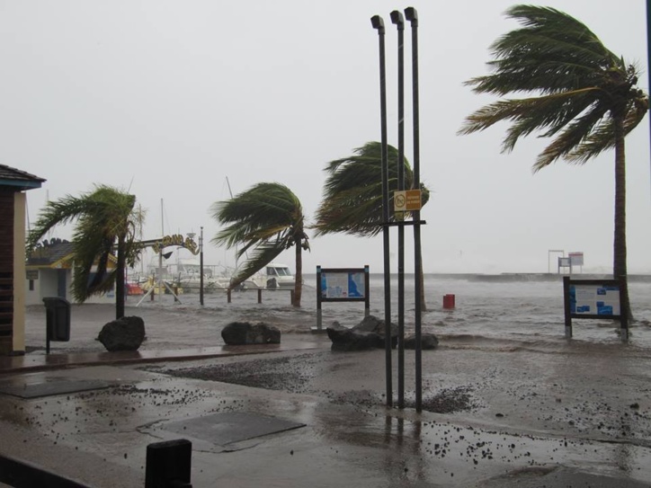 Cyclone-La Réunion : L'unique tchadien de l’Île, indemne, témoigne