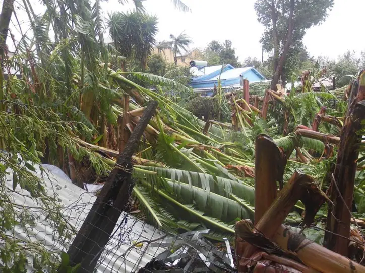 Cyclone-La Réunion : L'unique tchadien de l’Île, indemne, témoigne