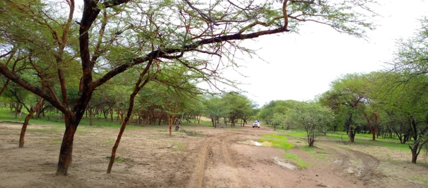 Tchad : un mort et plusieurs blessés dans des violences au Sila Tchad : un mort et plusieurs blessés dans des violences au Sila
