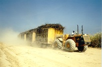 Crédit photo: proparco.fr Crédit photo: proparco.fr