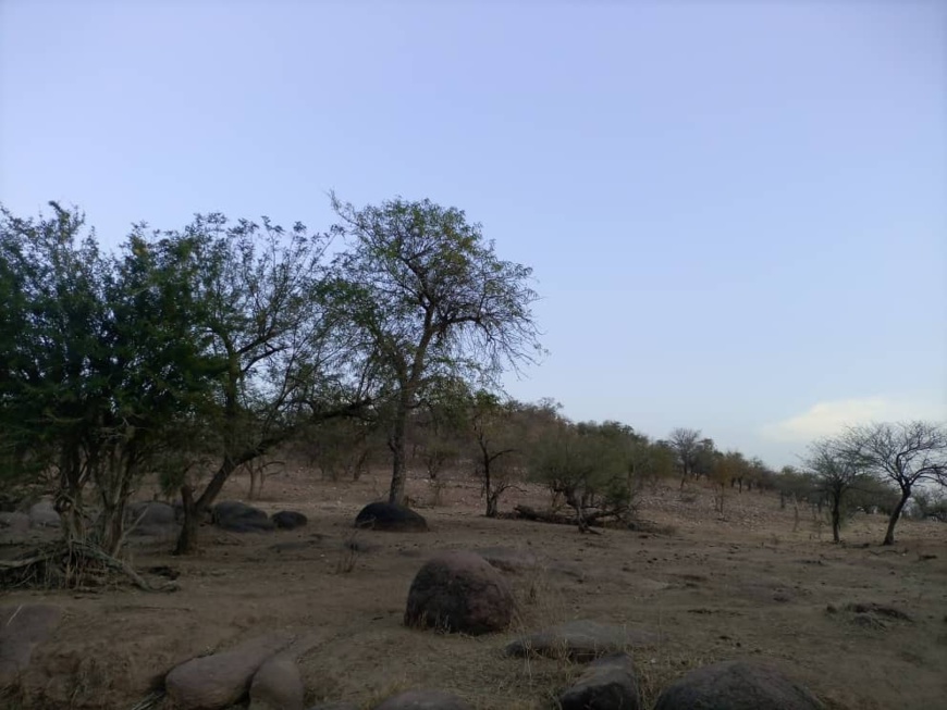 Tchad : un villageois tué par un agent de la garde nomade au Sila Tchad : un villageois tué par un agent de la garde nomade au Sila