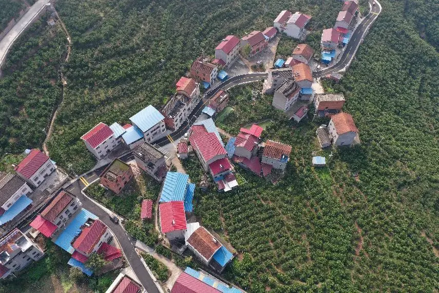 An aerial photo of Wangjiaqiao village, Shuitianba township, Zigui county, Yichang city, central China’s Hubei province. (Photo/Huang Shanjun)