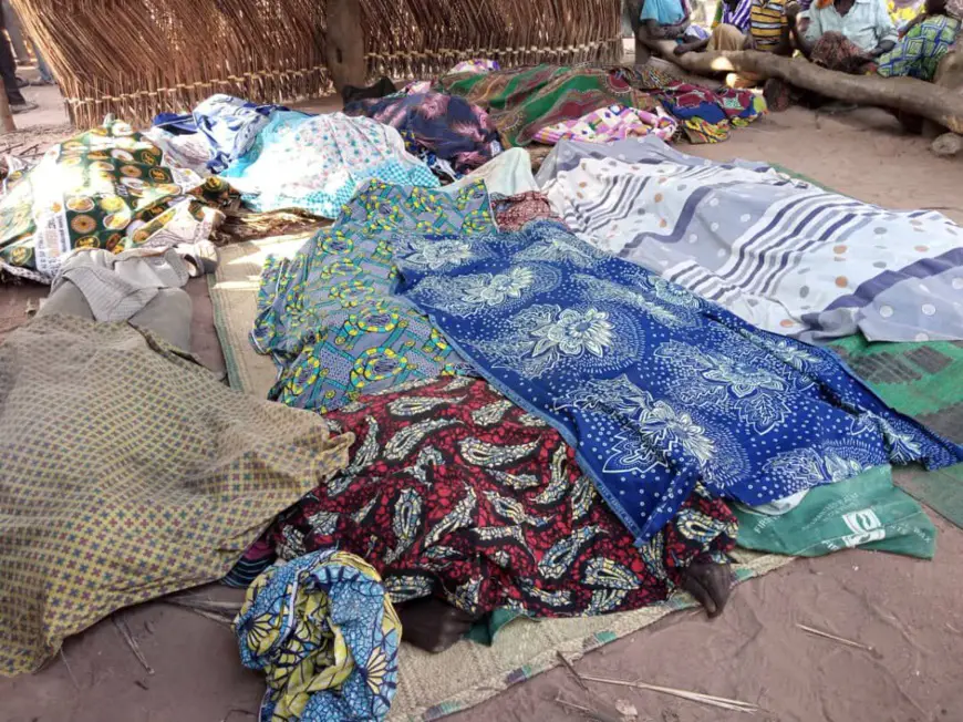 Tchad : la CNDH condamne « l’acte de barbarie » perpétré au village de Sandana (Moyen-Chari)