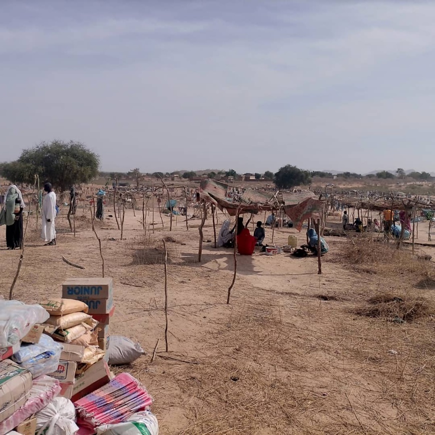 Tchad : des coupeurs de route ouvrent le feu sur deux civils au Sila Tchad : des coupeurs de route ouvrent le feu sur deux civils au Sila