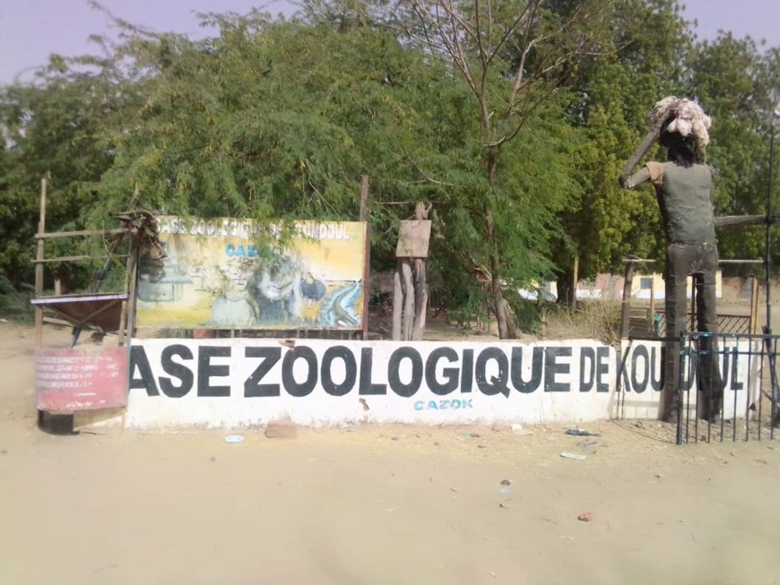 Tchad : case zoologique de Koundoul, un patrimoine menacé de disparition Tchad : case zoologique de Koundoul, un patrimoine menacé de disparition