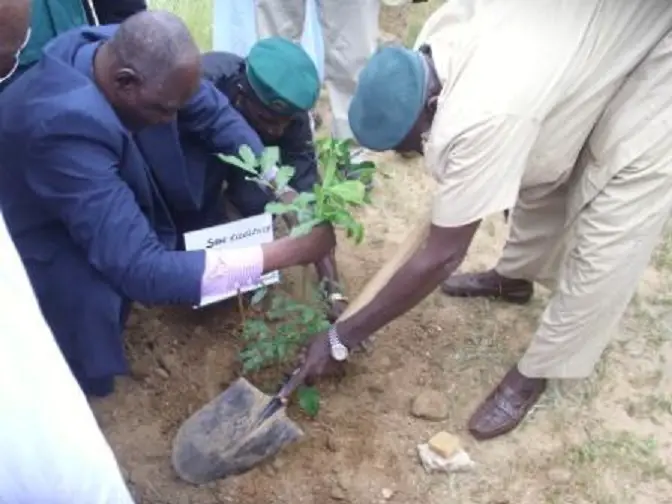 Un ministre plante un arbre lors de la Semaine Nationale de l’Arbre au Tchad. Crédit photo : Sources