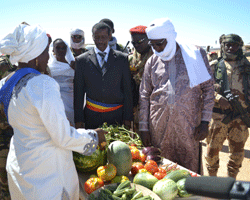 Le Chef de l’Etat Idriss Déby est à Biltine dans le chef-lieu de la région de Wadi-Fira - Crédit photo : Présidence Tchad.