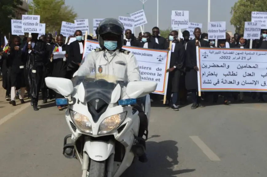 Le Tchad "tient la queue dans l'indice de développement et la tête en matière de violence"