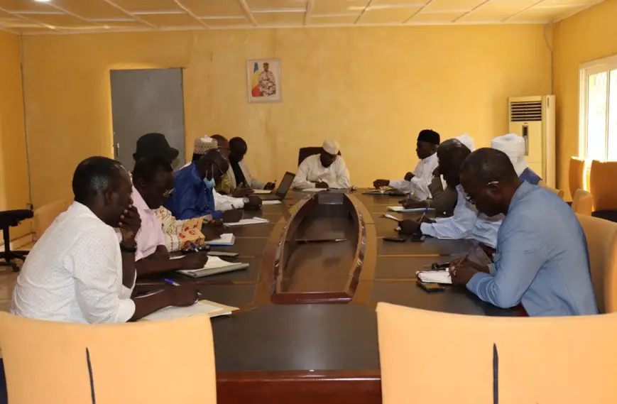 Tchad : le projet de développement de la filière viande en voie de concrétisation au Logone Occidental