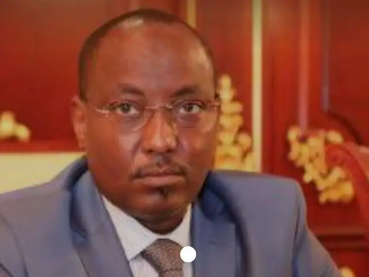 Tchad : les visages des entrants dans le nouveau gouvernement