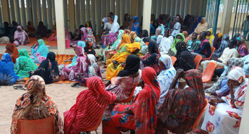 Tchad : la condition féminine et la scolarisation des filles en débat à Mongo Tchad : la condition féminine et la scolarisation des filles en débat à Mongo