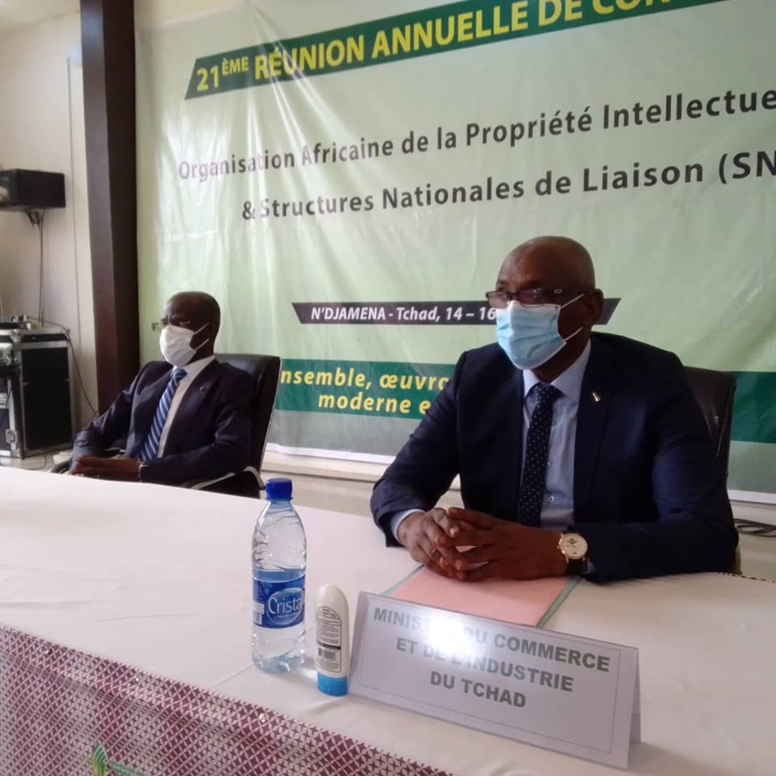 Tchad : l'OAPI promeut la propriété intellectuelle pour contribuer au développement Tchad : l'OAPI promeut la propriété intellectuelle pour contribuer au développement