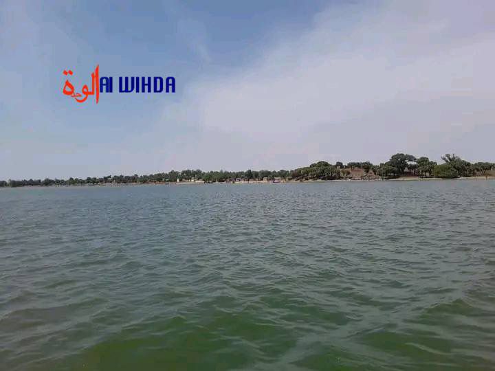 Tchad : dans le Lac-Léré, les hippopotames menacent les habitants du village Mourbamé Tchad : dans le Lac-Léré, les hippopotames menacent les habitants du village Mourbamé