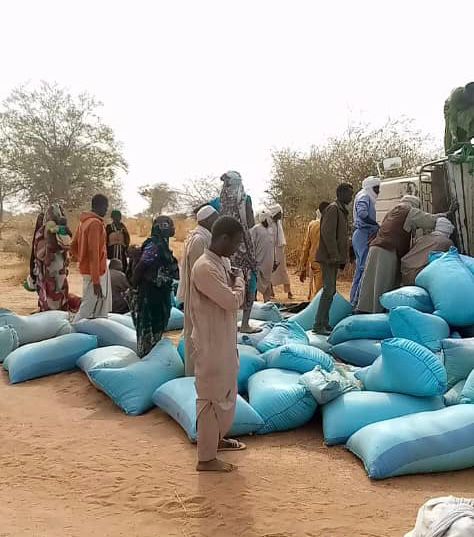 Tchad: un accident routier fait 2 morts et 32 blessés au Sila