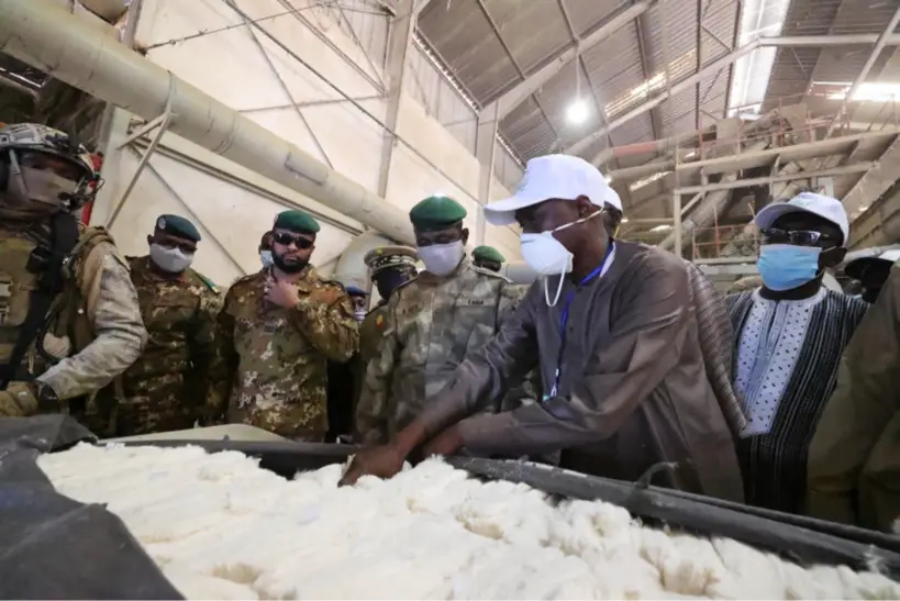 Mali : une production record de 760.000 tonnes de coton