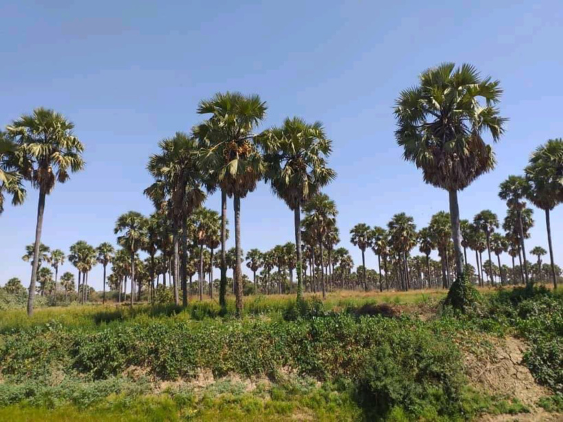 Tchad : des malfaiteurs font couler le sang au Sila, les forces de sécurité mobilisées Tchad : des malfaiteurs font couler le sang au Sila, les forces de sécurité mobilisées