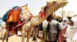 Tchad : Dourwé Fadandi intronisé chef de canton Youé au Mayo Kebbi Est Tchad : Dourwé Fadandi intronisé chef de canton Youé au Mayo Kebbi Est