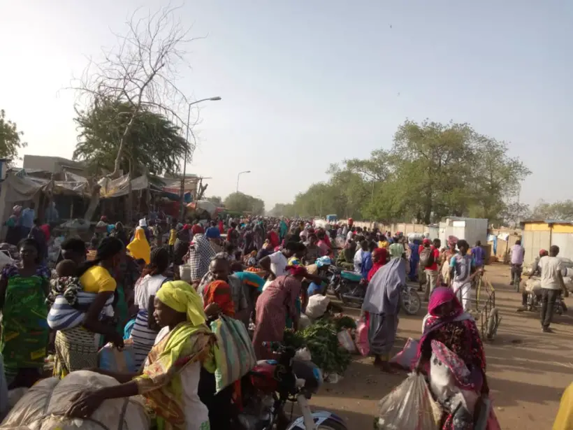 Tchad : les vendeuses de légumes de Dembé se redéploient