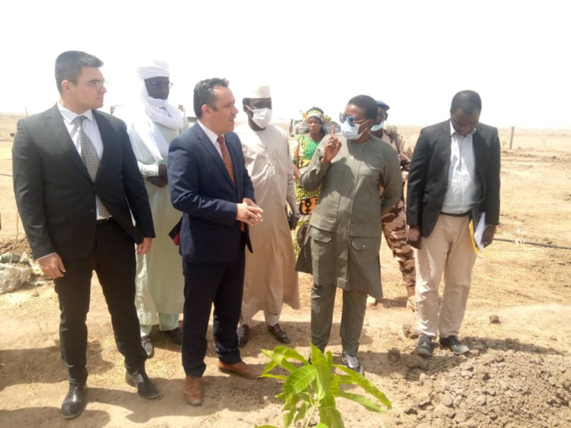 Tchad : l'agence Tika accompagne les femmes dans la production agricole Tchad : l'agence Tika accompagne les femmes dans la production agricole