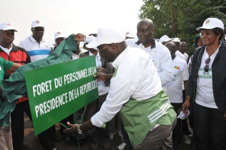 Initiative " campagne des plantations des institutions" au Congo: la présidence plante 1428 Eucalyptus Initiative " campagne des plantations des institutions" au Congo: la présidence plante 1428 Eucalyptus