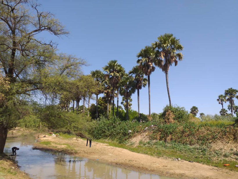 Tchad : des coupeurs de route tuent un père et son fils au Sila Tchad : des coupeurs de route tuent un père et son fils au Sila