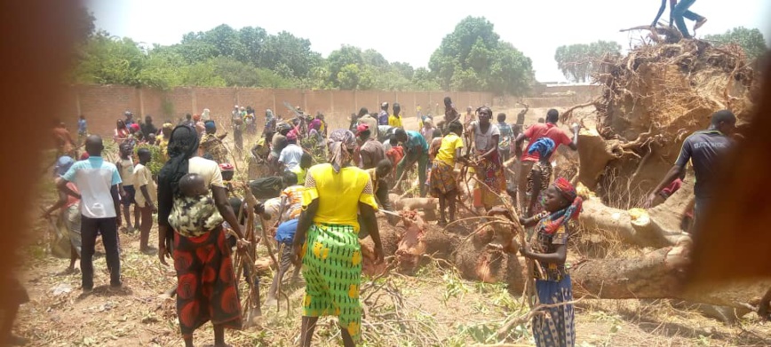 Tchad : la ville de Pala change de visage Tchad : la ville de Pala change de visage