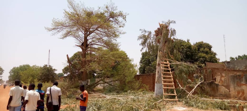 Tchad : la ville de Pala change de visage Tchad : la ville de Pala change de visage