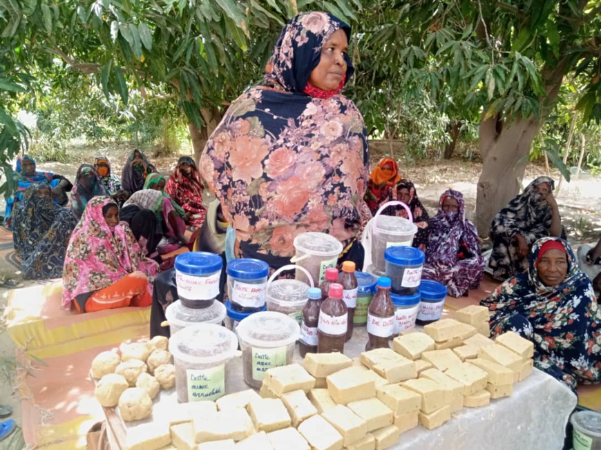 Tchad : Action contre la Faim inspecte les sites des réalisations humanitaires au Kanem