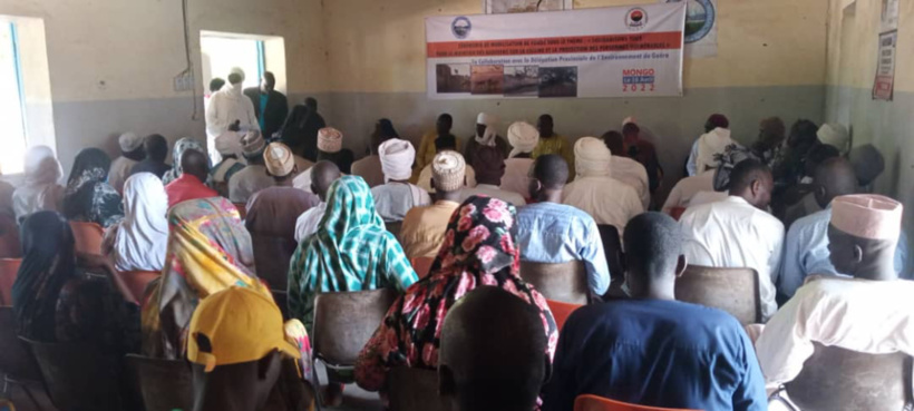 Tchad : chaîne de solidarité tout azimut à Mongo autour des babouins Tchad : chaîne de solidarité tout azimut à Mongo autour des babouins