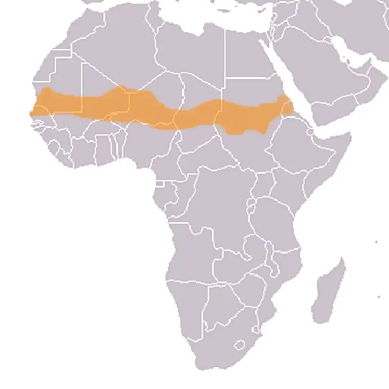 Sahel. Photo : Wikipedia