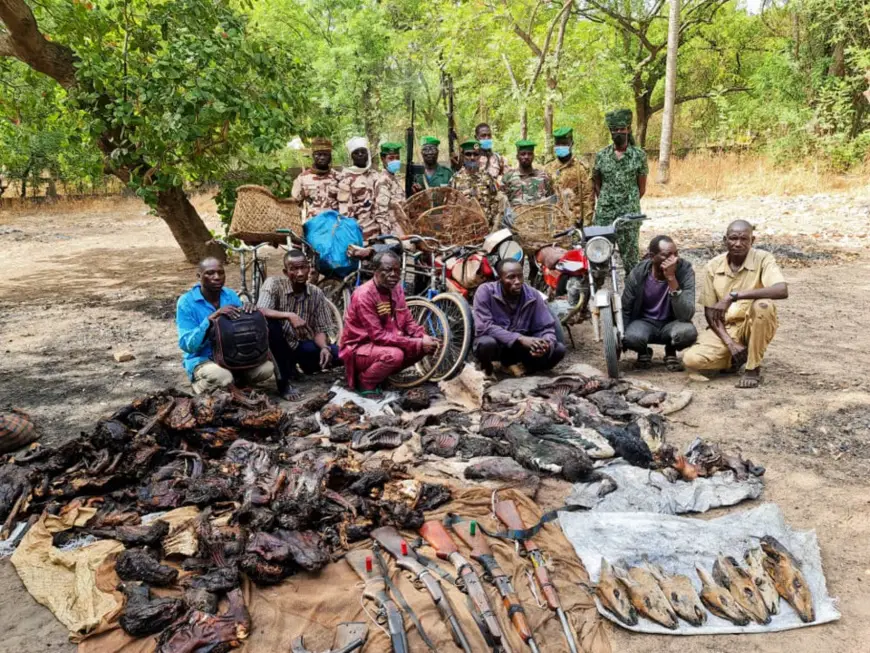 Tchad : des braconniers appréhendés dans la zone de Lac Iro