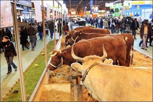 Salon de l'Agriculture : Deux ministres font le bilan