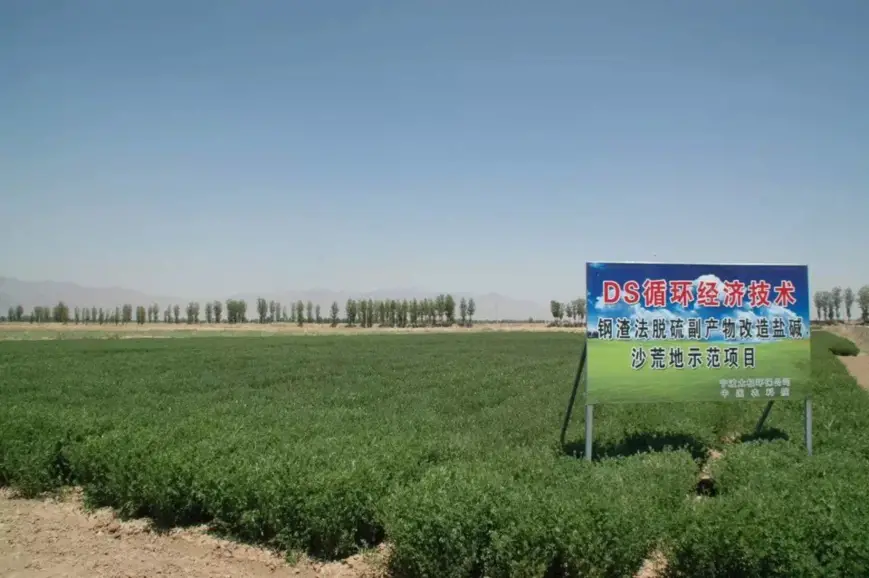 Photo shows a piece of saline-alkali land turned into an alfalfa grassland by soil conditioner made from an iron and steel plant’s desulfurization byproducts in Xianfeng township, Urad Front Banner, Bayannur city, north China’s Inner Mongolia autonomous region.