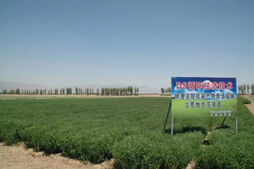 Photo shows a piece of saline-alkali land turned into an alfalfa grassland by soil conditioner made from an iron and steel plant’s desulfurization byproducts in Xianfeng township, Urad Front Banner, Bayannur city, north China’s Inner Mongolia autonomous region. Photo shows a piece of saline-alkali land turned into an alfalfa grassland by soil conditioner made from an iron and steel plant’s desulfurization byproducts in Xianfeng township, Urad Front Banner, Bayannur city, north China’s Inner Mongolia autonomous region.