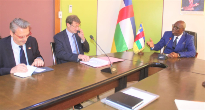 Centrafrique : l'Union européenne veut aider le pays à lutter contre la déforestation Centrafrique : l'Union européenne veut aider le pays à lutter contre la déforestation