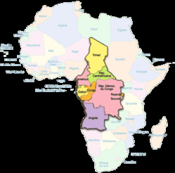 Création d'un nouveau parti panafricain dans l'espace CEEAC Création d'un nouveau parti panafricain dans l'espace CEEAC