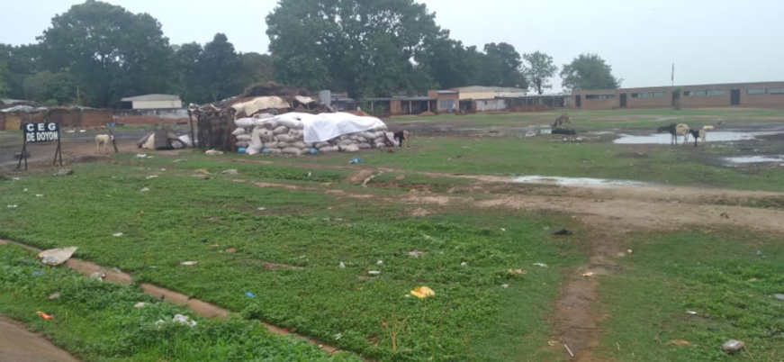 Tchad : une cour d’école transformée en enclos pour moutons à Moundou