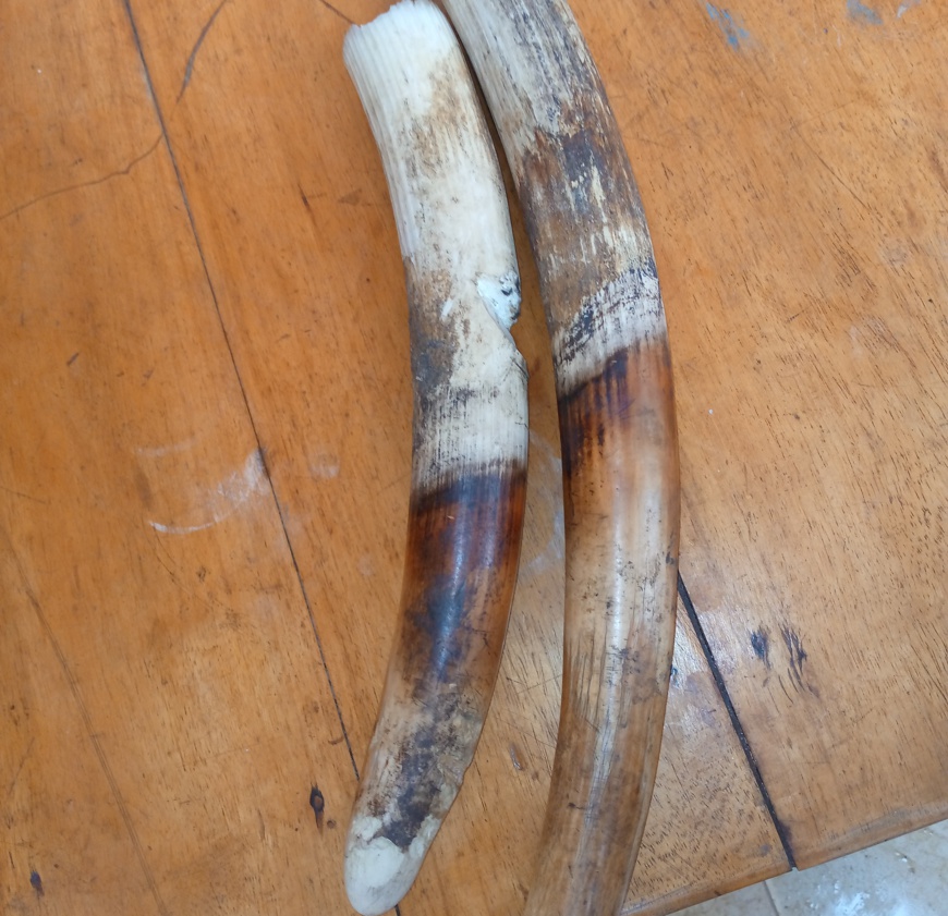 © EAGLE-Togo © EAGLE-Togo