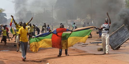 Des manifestants lors d'une manifestation contre l'opération Sangaris. Crédit photo : Sources Des manifestants lors d'une manifestation contre l'opération Sangaris. Crédit photo : Sources