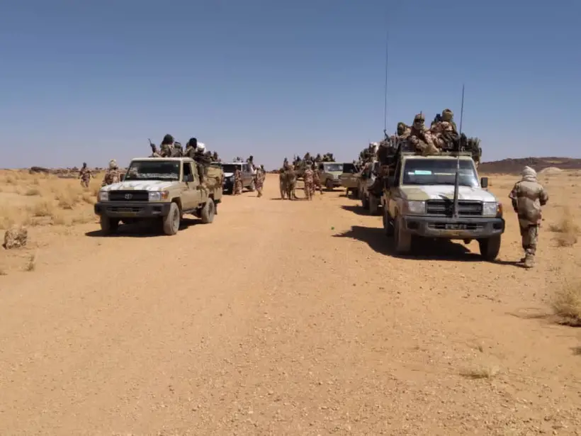 Tchad : une mission d'inspection appréhende plusieurs braconniers dans l'Ennedi Est