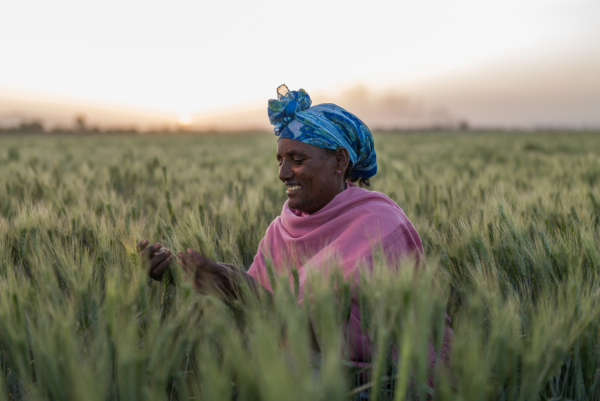 La BAD approuve une facilité de 1,5 milliard de dollars pour prévenir une crise alimentaire. © Afdb La BAD approuve une facilité de 1,5 milliard de dollars pour prévenir une crise alimentaire. © Afdb