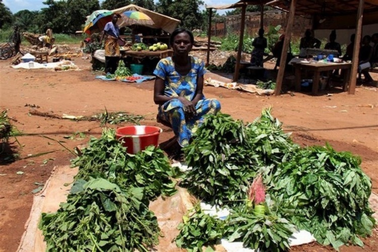 Centrafrique : Derrière la crise humanitaire et sécuritaire, une crise économique grave se profile