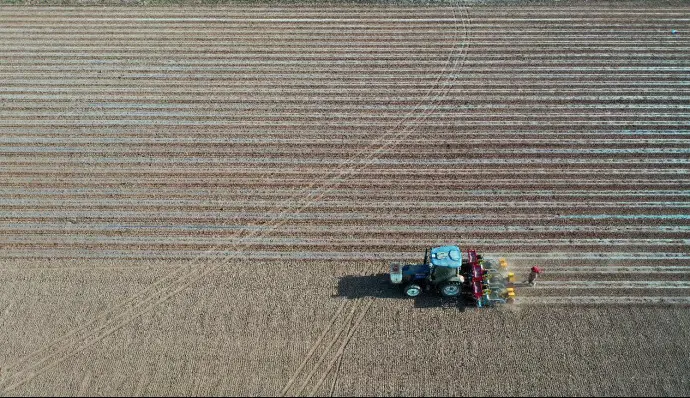 Aerial photo taken on April 17, 2022 shows an unmanned seeder equipped with the BeiDou Navigation Satellite System (BDS) working in a cornfield in Jing’an township, Ganzhou district, Zhangye city, northwest China’s Gansu province. The machine can perform operations such as laying plastic mulch films, setting up a drip irrigation system, fertilizing the field and sowing seeds. (Photo by Yang Yongwei/People’s Daily Online)