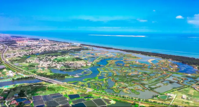 Photo shows a beautiful wetland park in Maiya River area in Jiangdong New Area, Haikou city, south China’s Hainan province. Thanks to the ecological restoration projects implemented since 2020, the biodiversity of the Maiya River basin has been restored and the area has become the habitat of many bird species. (Photo by Kang Denglin/People’s Daily Online)