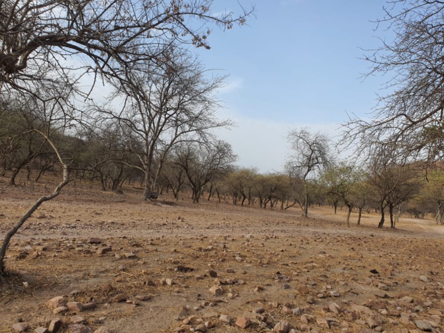 Tchad : deux coupeurs de route tués au Sila lors d'un braquage Tchad : deux coupeurs de route tués au Sila lors d'un braquage
