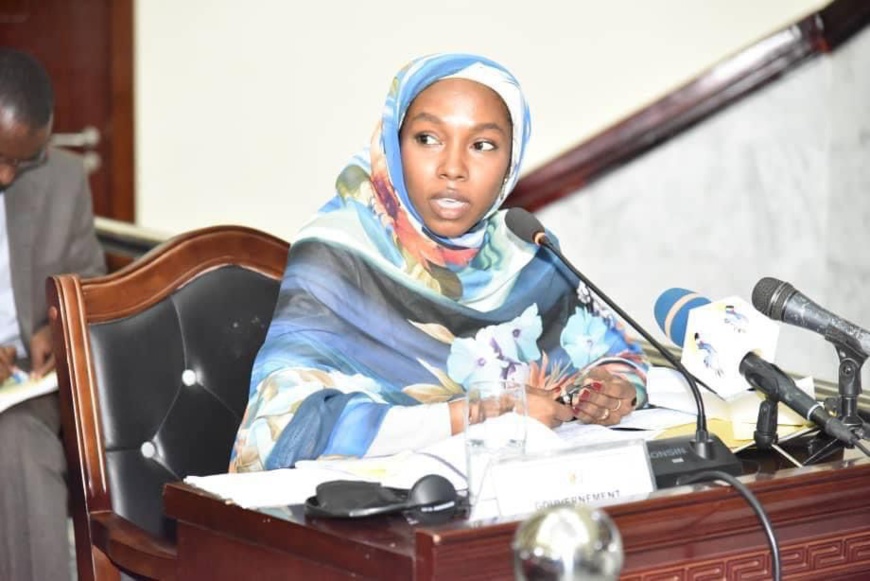 Tchad : la ministre des Transports interpellée au Conseil national de transition Tchad : la ministre des Transports interpellée au Conseil national de transition