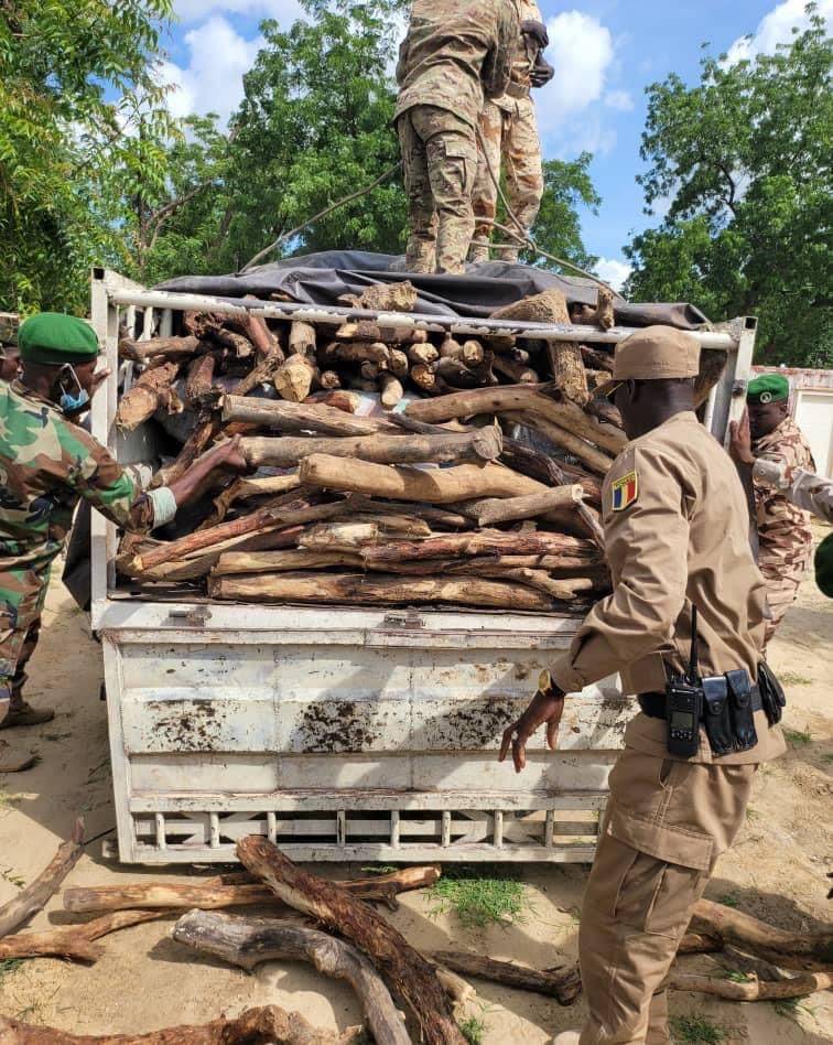 Tchad : le ministère de l’Environnement recense les agents des eaux et forêts