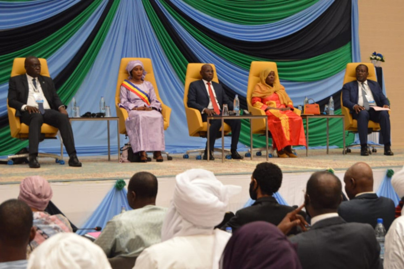 Tchad : l'accès à l'eau potable reste un combat à gagner par les États africains Tchad : l'accès à l'eau potable reste un combat à gagner par les États africains