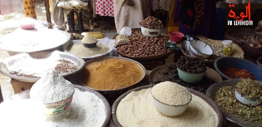 Tchad : prise en charge de la malnutrition dans le Mayo Kebbi Ouest